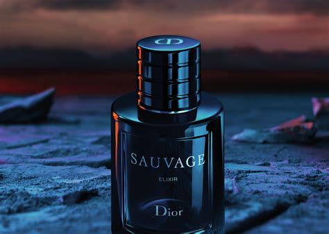 perfume like dior sauvage|colognes that smell like sauvage.